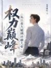 权力巅峰:从县委大秘到封疆大吏